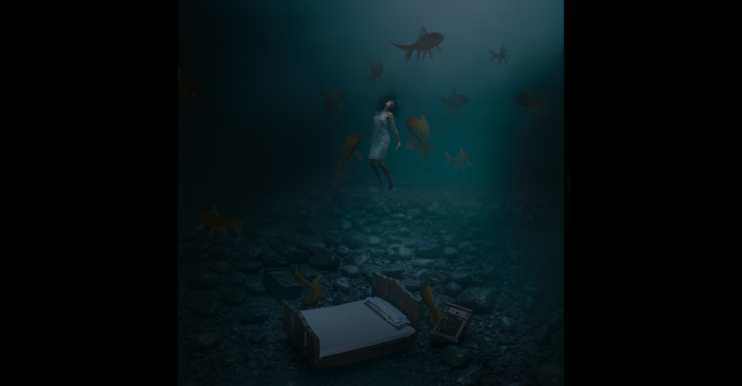 Portfolio image